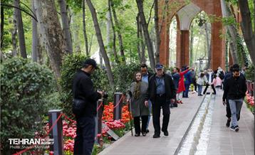 تور عکاسی از باغ ایرانی 20