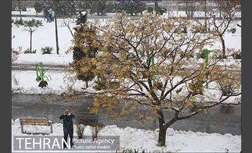 تفریحات برفی در پارک پردیسان تهران 32