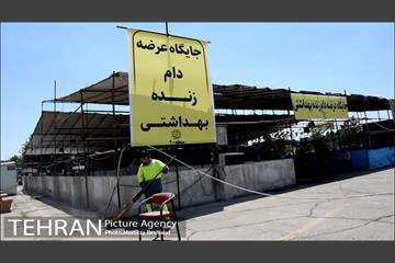 آماده سازی قربانگاه منطقه ۲۰ ( شهرری )  2