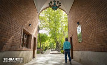 لاله های باغ ایرانی 21