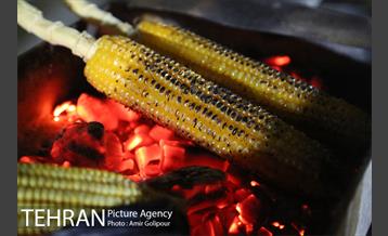 شبهای دریاچه شهدای خلیج فارس 5