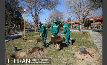 آیین درختکاری دوچرخه سواران تهران 4