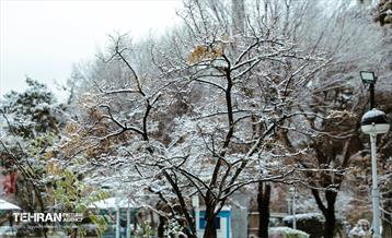 روز برفی در منطقه 8 3