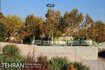 بوستان پونه 12