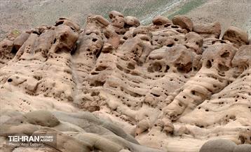 هوای بهاری منطقه 22 7