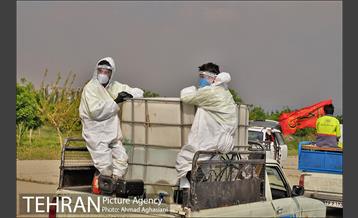 رزمایش ضدعفونی معابر سازمان بسیج شهرداری تهران 6