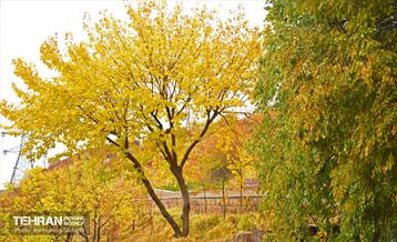 هوای پاییزی پایتخت 14
