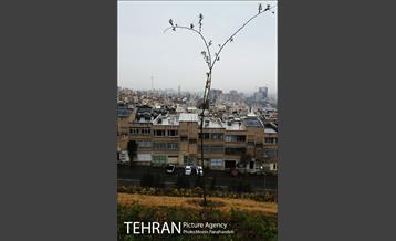 تهران بارانی 7