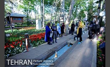 رویش گل های لاله در باغ ایرانی 13