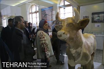 تهرانگردی شهردار بغداد 24