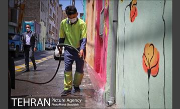 دیوارهای چشم نواز در منطقه 7