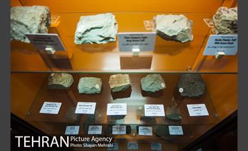 موزه علوم زمین 34