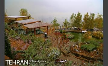 بارش پاییزی برف در ارتفاعات بوستان کوهستانی آبشار تهران‎ 35