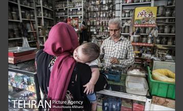 مغازه عطاری و داروهای گیاهی 19