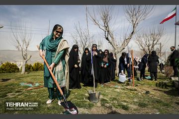 آیین درختکاری در منطقه‌5 12
