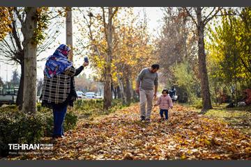 گذرگاه های پاییزی پایتخت - منطقه 14