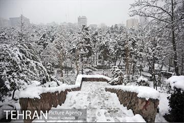 بارش برف زمستانی در تهران 3