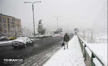 بارش اولین برف زمستانی در تهران 16