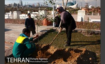 آیین درختکاری در منطقه فرهنگی و گردشگری عباس آباد  22