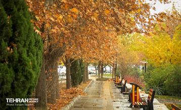 گذرگاه های پاییزی پایتخت - منطقه 5