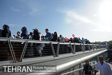 همایش پیاده روی خانوادگی کارکنان شهرداری 22