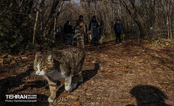 تور تهرانگردی ویـژه خانواده دیپلماتیک در منطقه 22