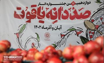 دوازدهمین جشنواره انار  7