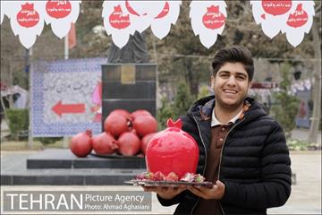 هفتمین جشنواره انار فرهنگسرای اشراق 3