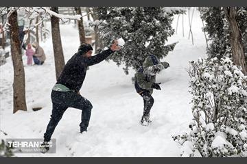 بارش برف در تهران 12