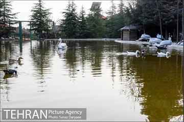 باغ پرندگان 24