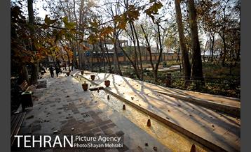 پاییز باغ ایرانی 27