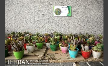 طرح گلماند در منطقه 18