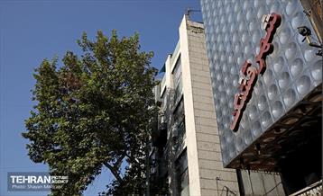 روز ملی سینما 7