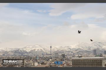 تهران 19