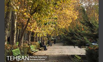 بوستان اندیشه(شهید منفرد نیاکی) 10