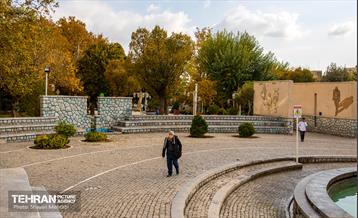 سمفونی رنگ های پاییزی  12