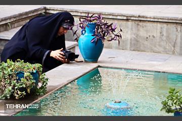 تور عکاسی در عودلاجان 2