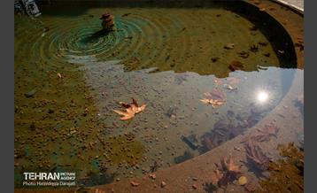 آخرین روزهای پاییزی  28