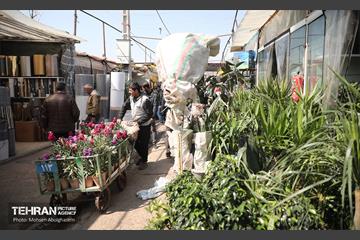 بازار گل شهید محلاتی در آخرین روزهاى سال 2