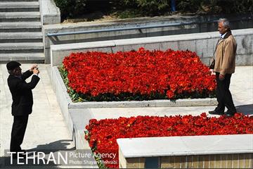 رویش گل های لاله در بوستان گفتگو 2
