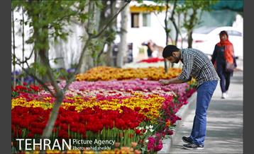 پیاده راه لاله برای مادران 11