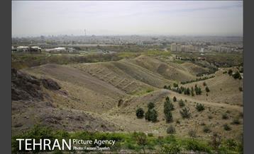 روز طبیعت در بوستان هاى منطقه ٥