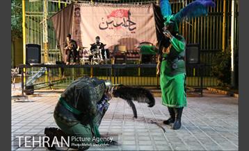 برگزاری اعزای حسینی در بوستان قصر منطقه هفت 25