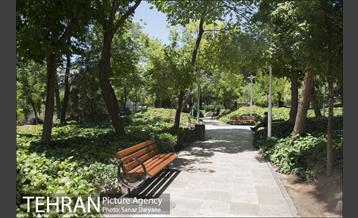 بوستان شفق‎ 20