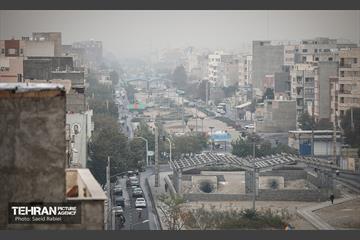 بازدید شهردار تهران از باغ‌راه حضرت فاطمه زهرا (س) 8