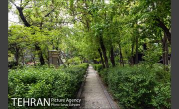 بوستان نیاوران 18