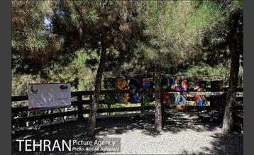 افتتاح اولین "باغچه خبر" در تهران 14