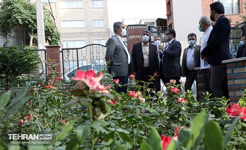 بازدید معاون هماهنگی امور مناطق از منطقه 8