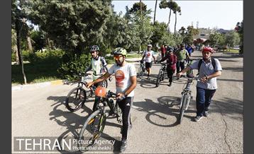 تور دوچرخه سواری خانوادگی منطقه 11 23
