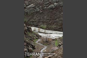 وردیج ، دنیایی از زیبایی 8